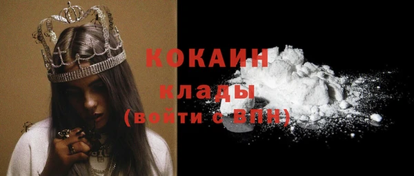 прущие грибы Бронницы