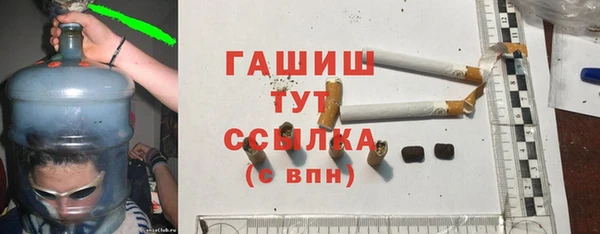 сатива Бородино
