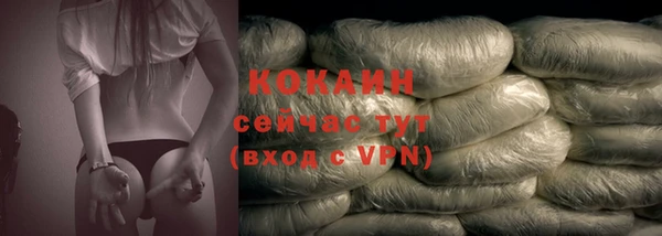 сатива Бородино