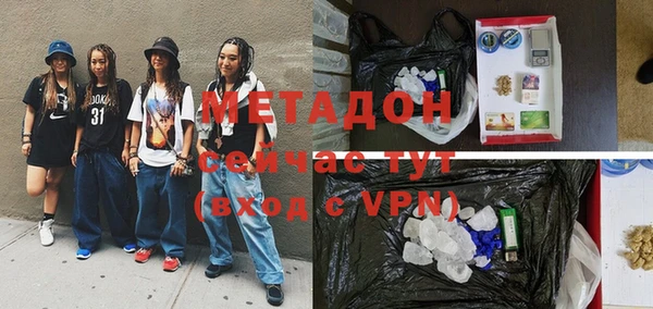 сатива Бородино