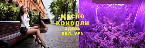 дмт Верея