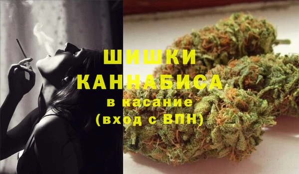дмт Верея