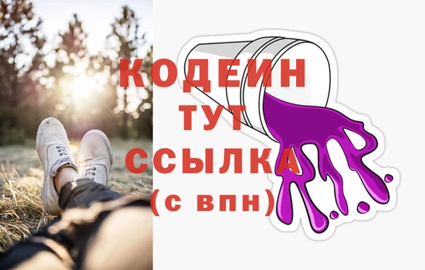 сатива Бородино
