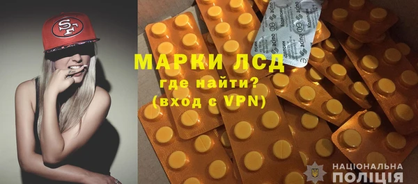 прущие грибы Бронницы