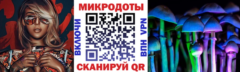 Псилоцибиновые грибы MAGIC MUSHROOMS  Купить  Алексеевка 